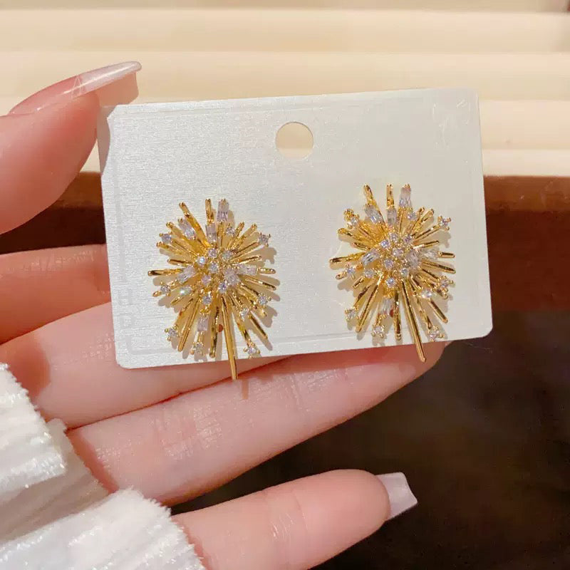 Zircon Firework Earrings