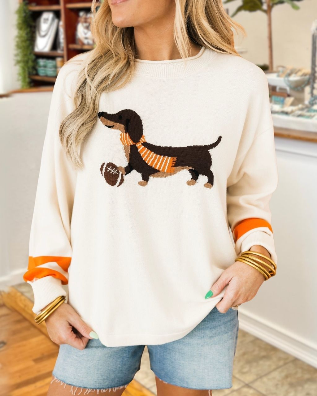 Football Dachshund Embroidered Pullover