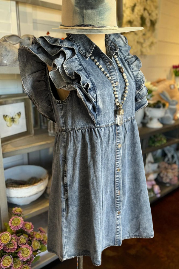 Heart Ruffle Denim Dress