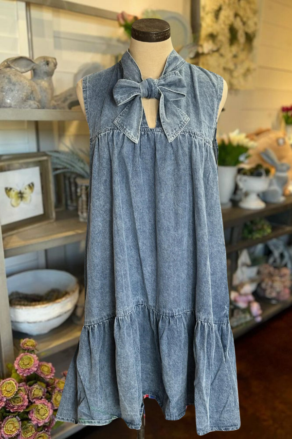 Cowgirl Denim Dress