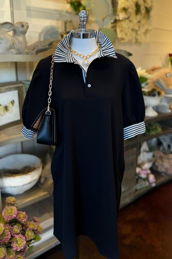 Everyday Contrast Collar Dress