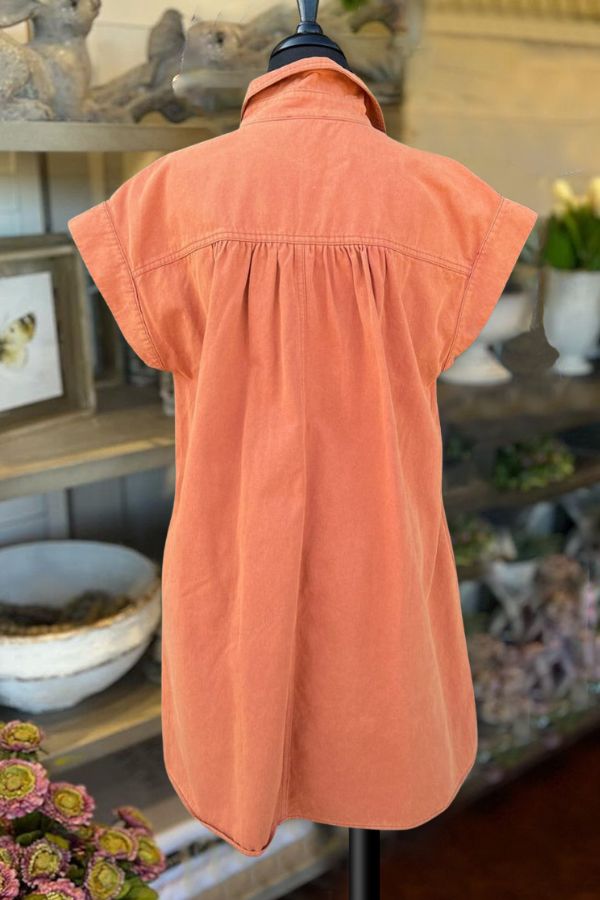 Rust Denim Button Dress