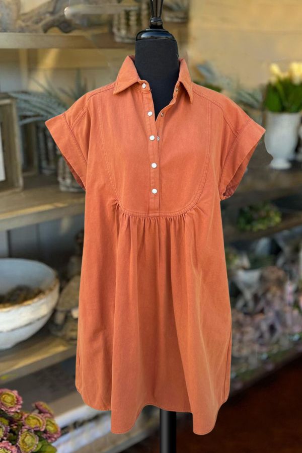 Rust Denim Button Dress